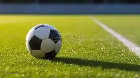 山东赛事经济发展迅猛，展现强劲势头