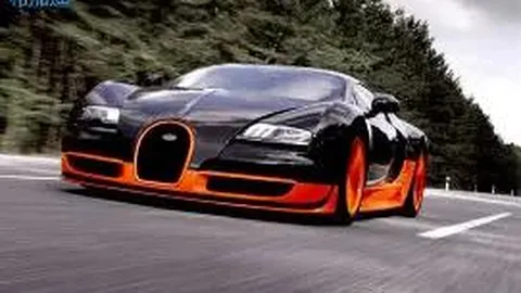 坚韧不拔，奋进不息