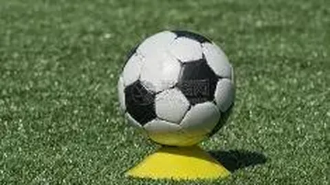 亿万28(中国)官方网站 资讯 084310 7v5